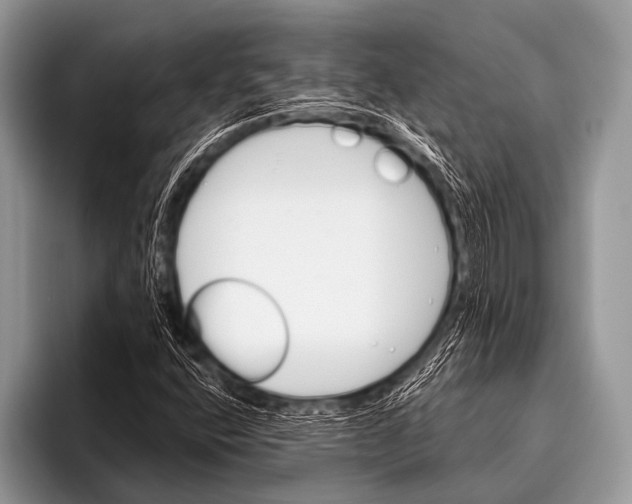 X0000096191400200802081510