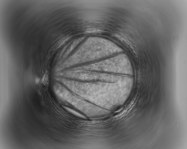 X0000096191401200802081510