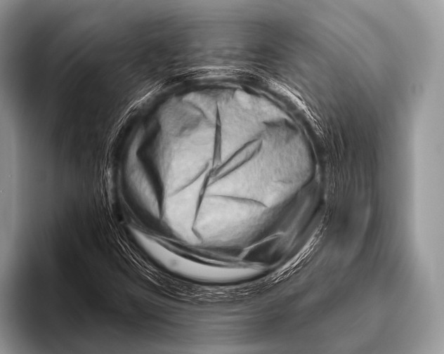 X0000096191403200802081510