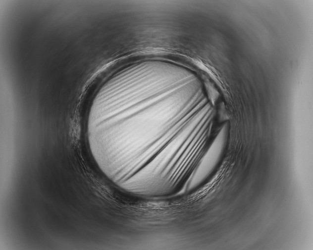 X0000096191406200802081510