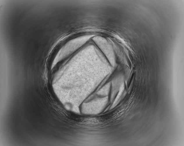 X0000096191408200802081510