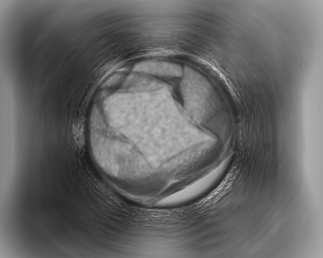 X0000096191409200802081510