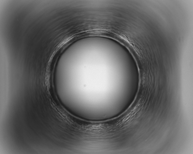 X0000096191410200802081510