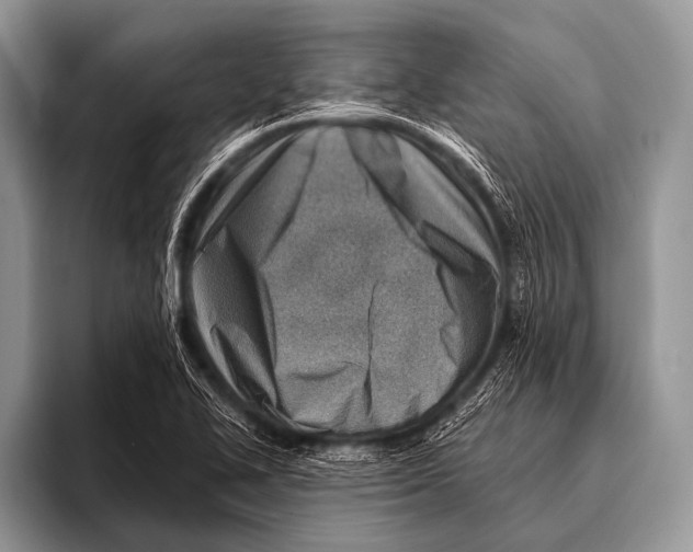 X0000096191414200802081510