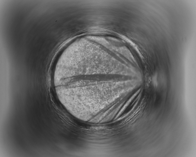 X0000096191415200802081510