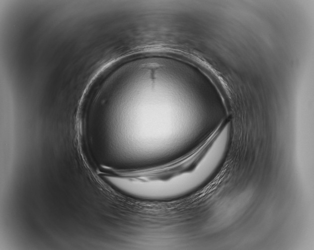 X0000096191416200802081510