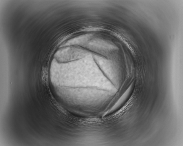 X0000096191417200802081510