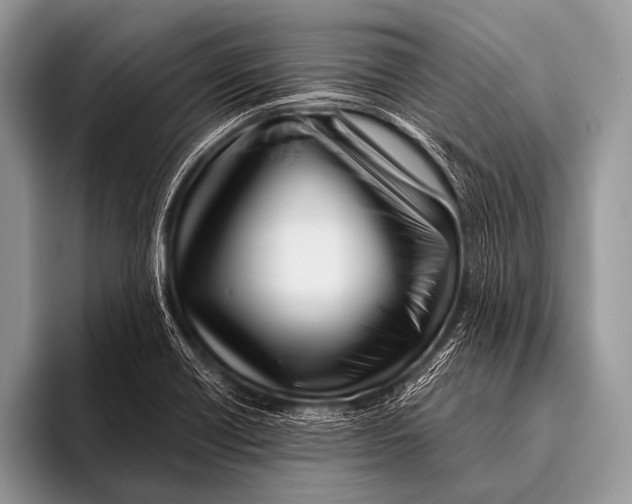 X0000096191418200802081510