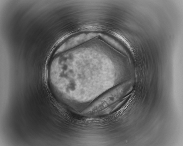 X0000096191419200802081511