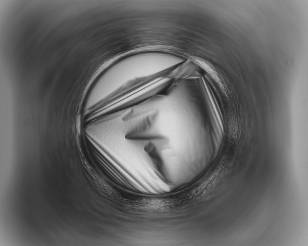 X0000096191420200802081511