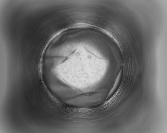 X0000096191421200802081511