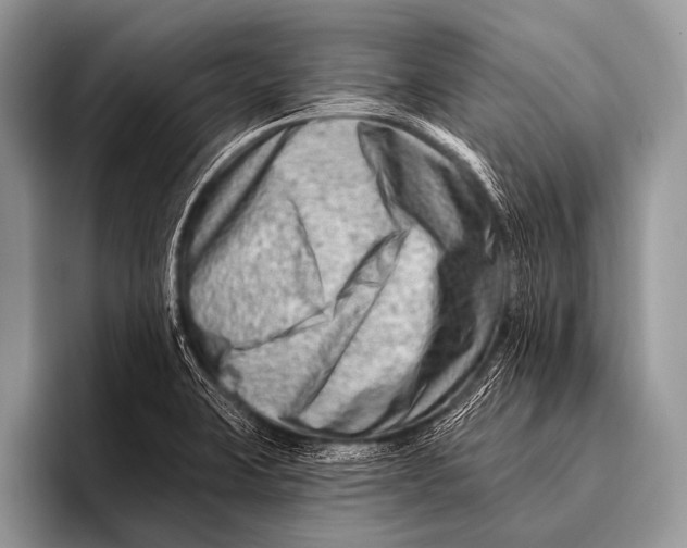 X0000096191423200802081511