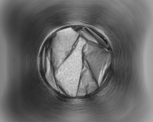 X0000096191424200802081511