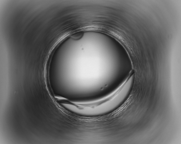 X0000096191426200802081511