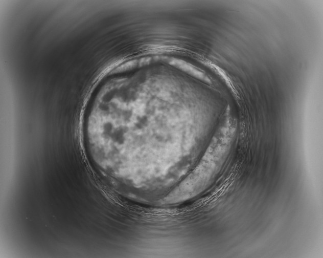 X0000096191427200802081511