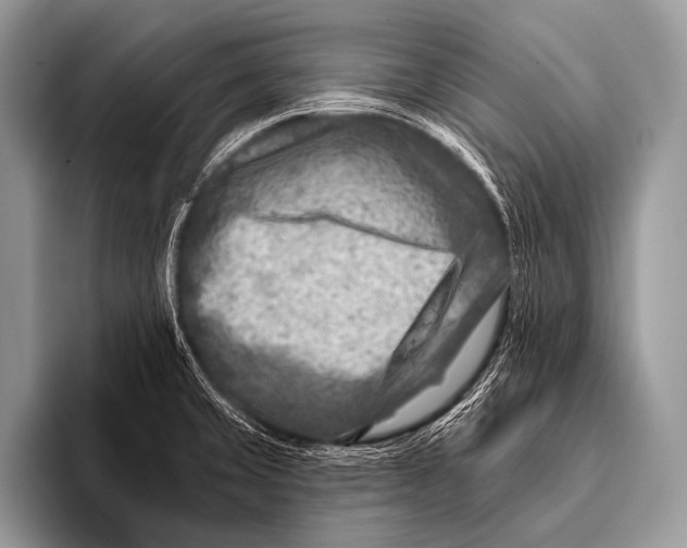 X0000096191429200802081511