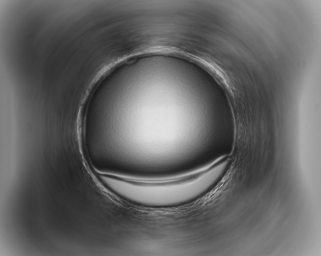 X0000096191430200802081511