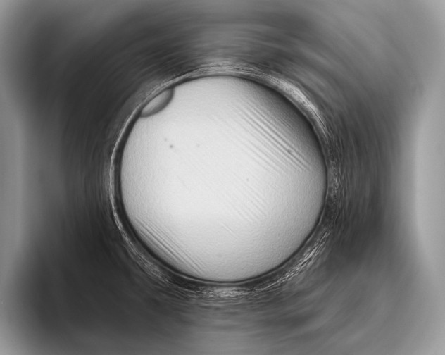 X0000096191431200802081511