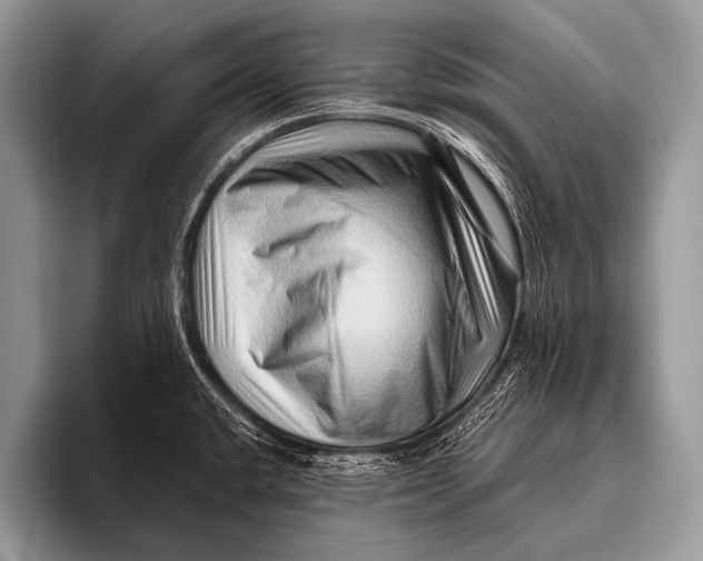 X0000096191432200802081511