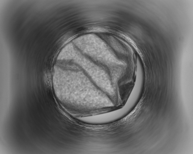 X0000096191433200802081511