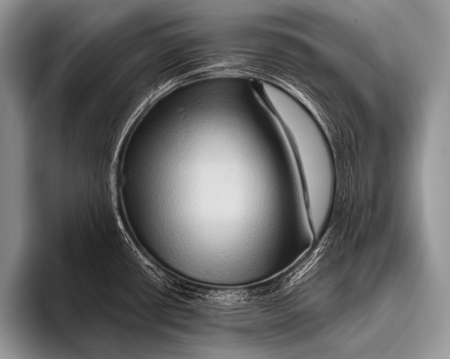 X0000096191434200802081511