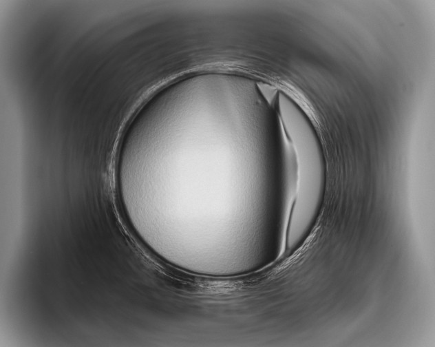 X0000096191436200802081511