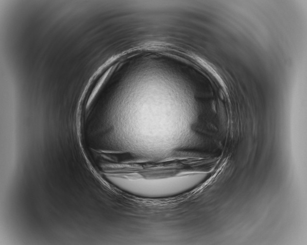 X0000096191437200802081511