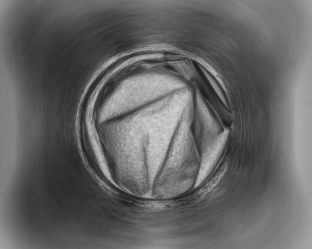 X0000096191438200802081511