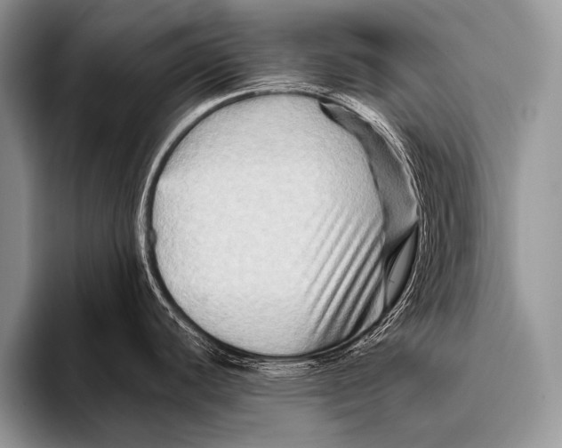 X0000096191440200802081511