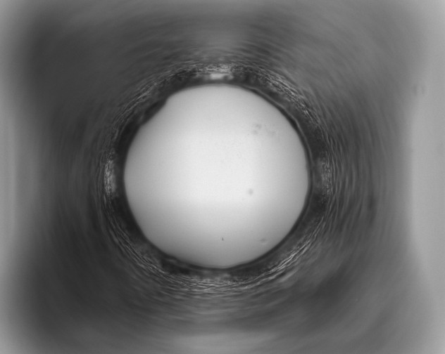 X0000096191442200802081510