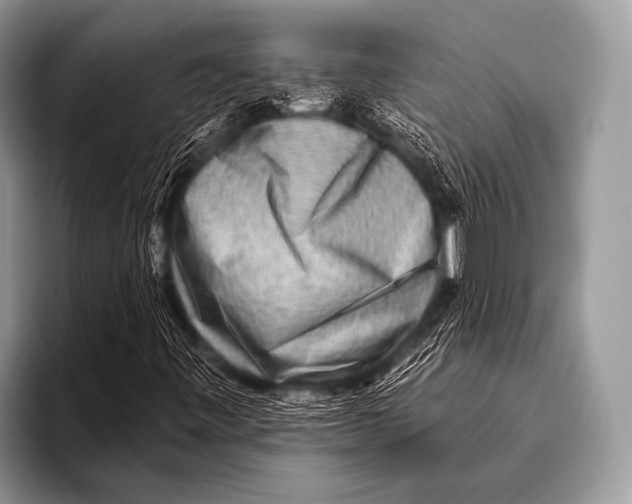 X0000096191443200802081510