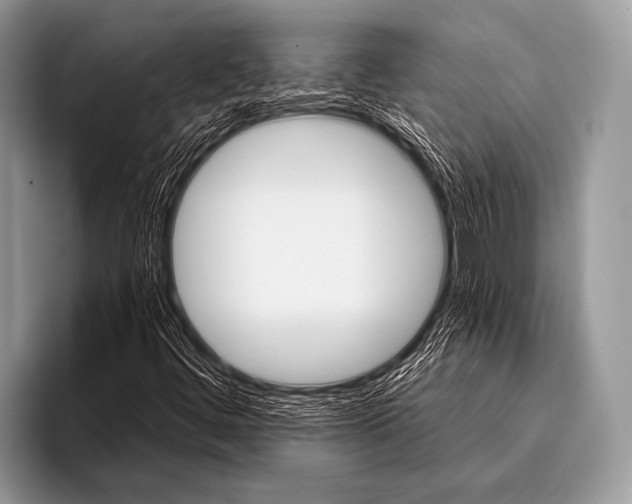 X0000096191444200802081510