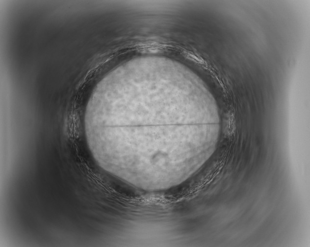 X0000096191446200802081510