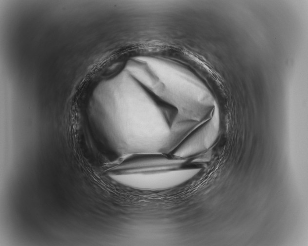 X0000096191447200802081510