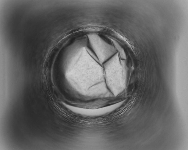 X0000096191448200802081510