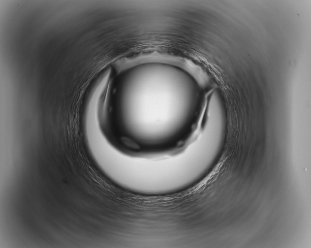 X0000096191449200802081510