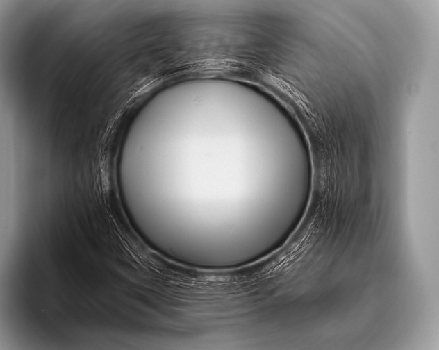 X0000096191451200802081510