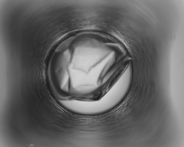 X0000096191452200802081510