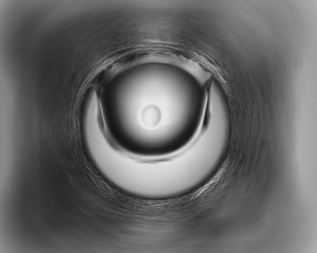 X0000096191453200802081510