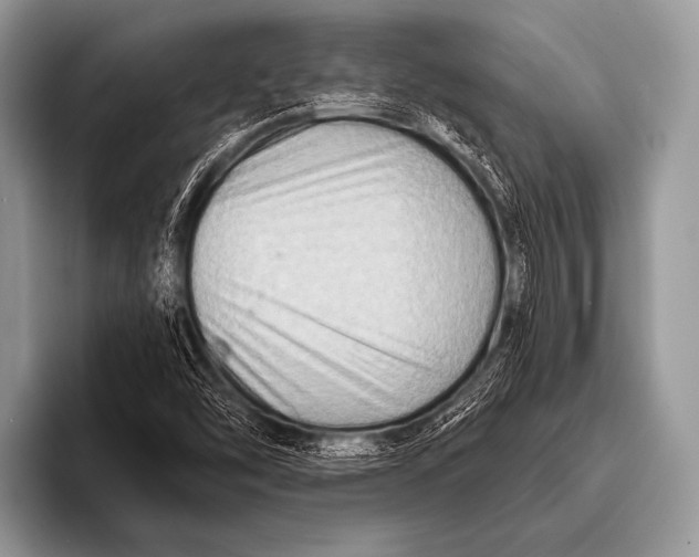 X0000096191454200802081510