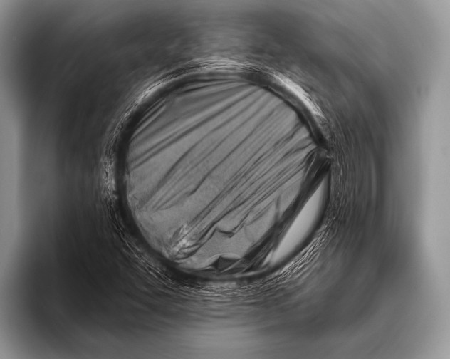 X0000096191455200802081510