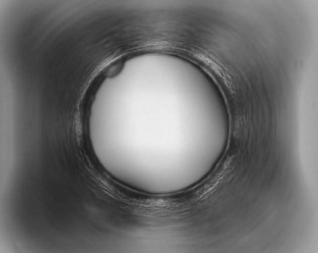 X0000096191458200802081510