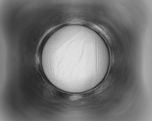 X0000096191462200802081510