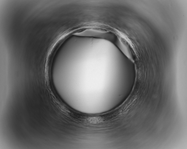 X0000096191464200802081510