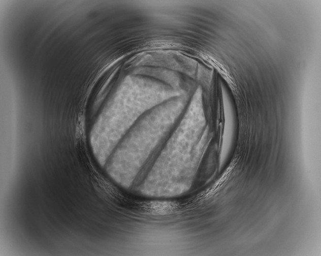 X0000096191465200802081510