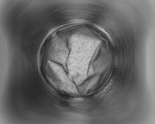 X0000096191467200802081510