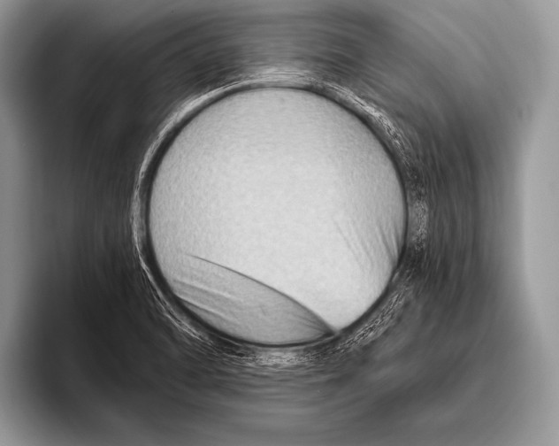 X0000096191470200802081510