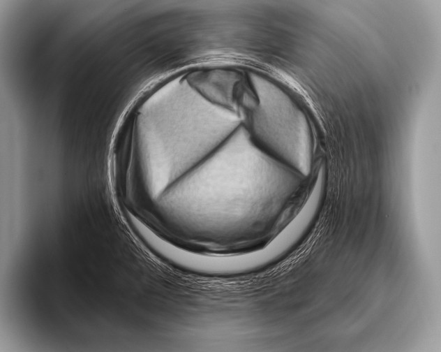 X0000096191472200802081510