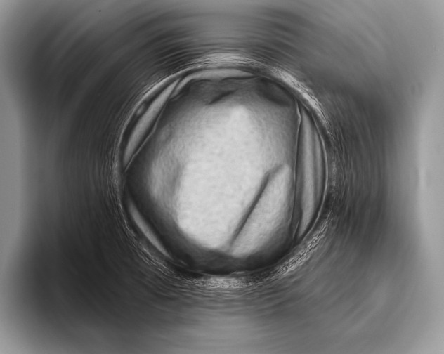 X0000096191473200802081510