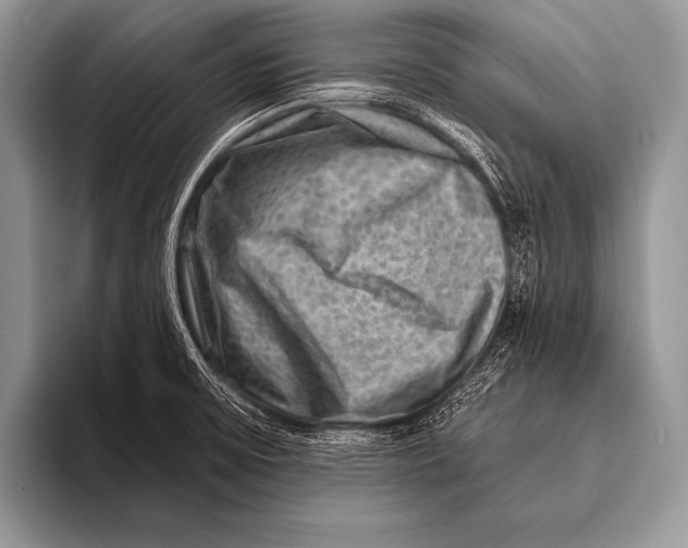 X0000096191475200802081510